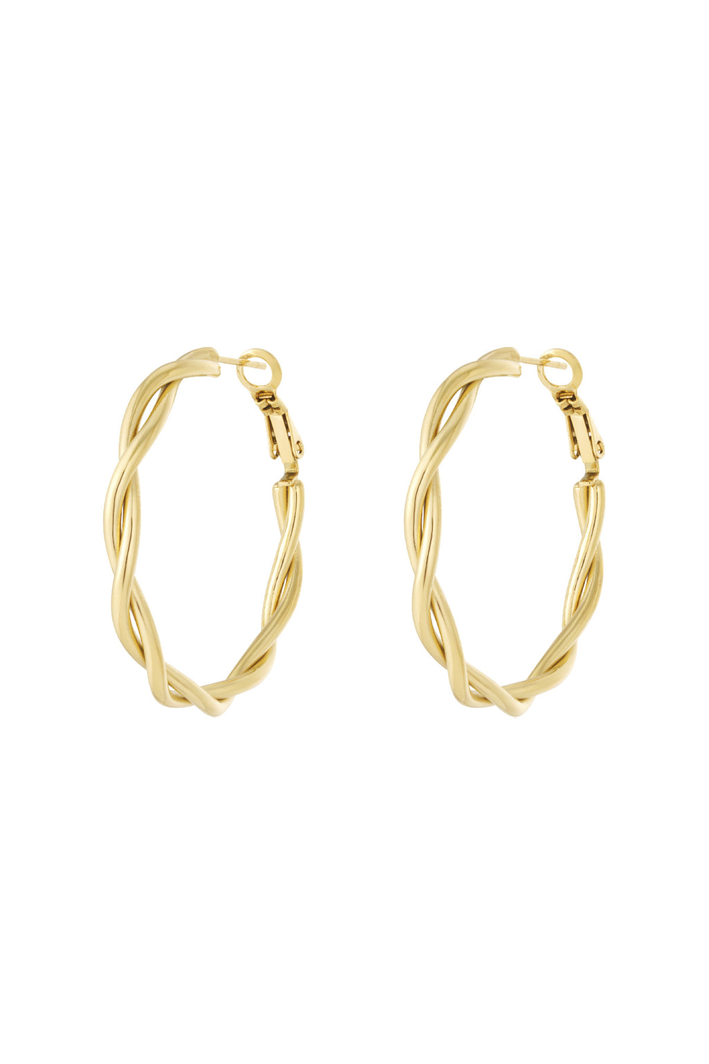 Twisted Hoop Earrings
