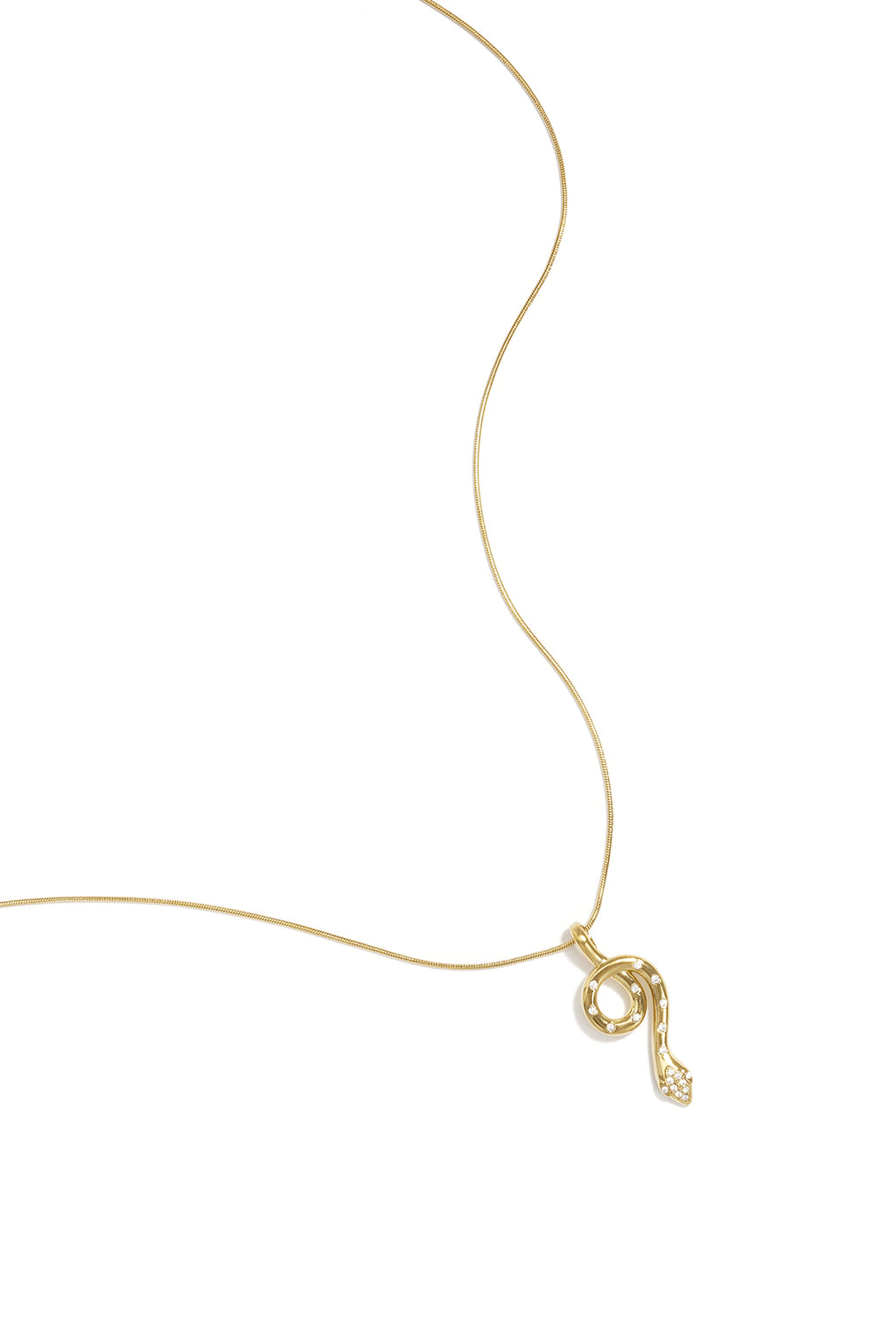 Necklace with covered snake charm