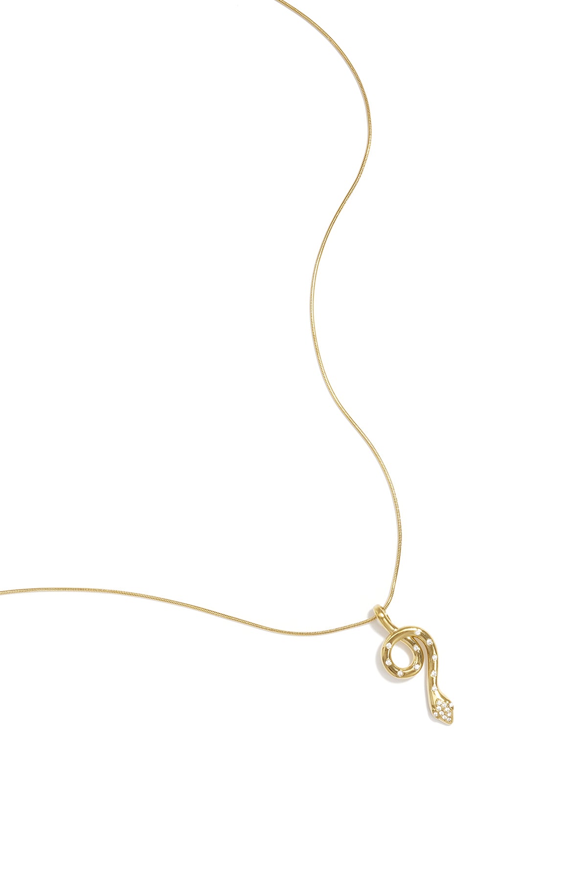Necklace with covered snake charm