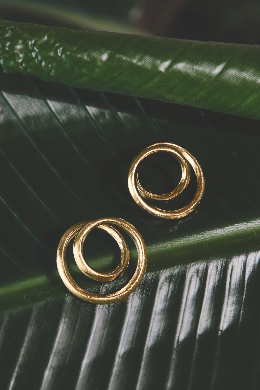 Earrings with spiral effect